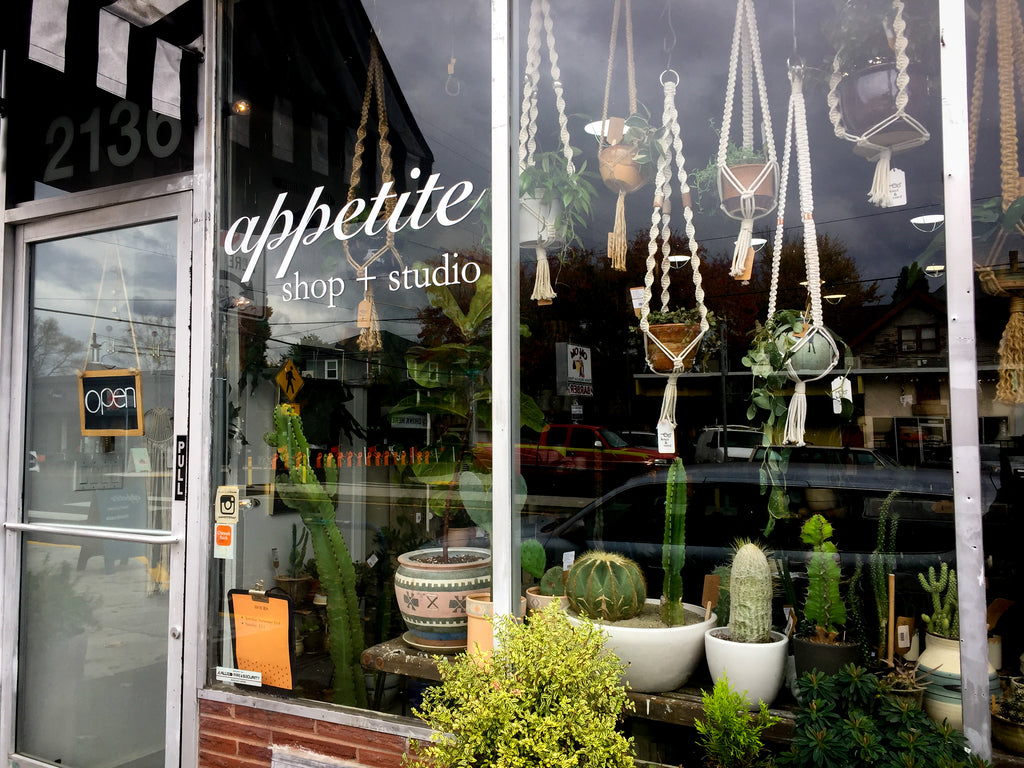 House plants hanging from hand made macrame hangers line the window of Appetite Shop.