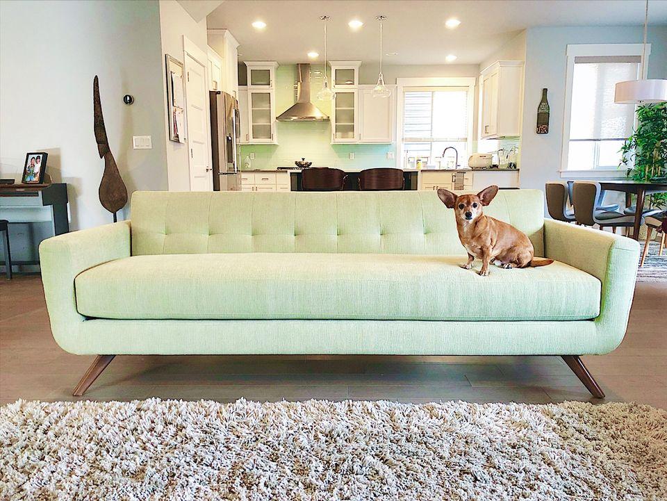 Cooper Sofa