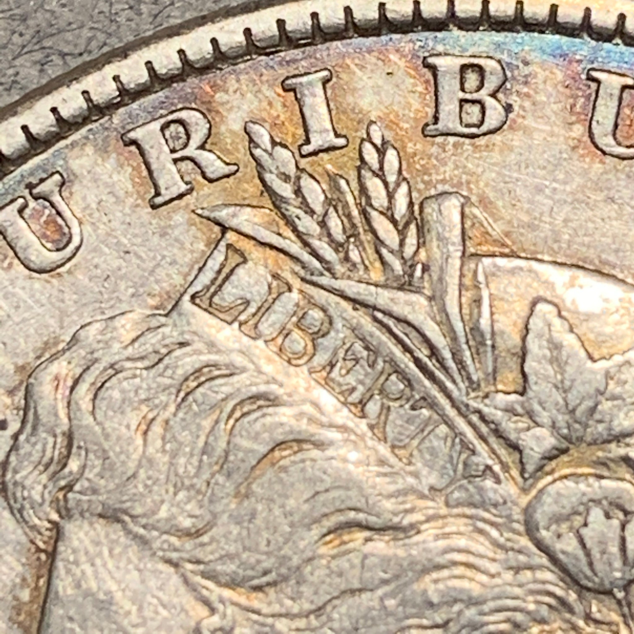1878 8TF Morgan Dollar, VF35, doubled LIBERTY – Cybercoins.net