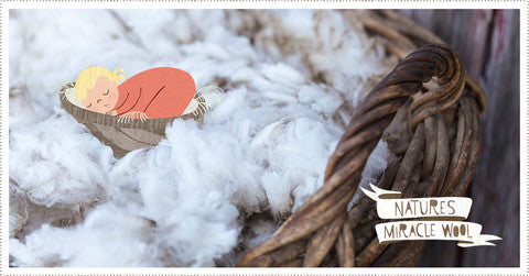softest organic wool