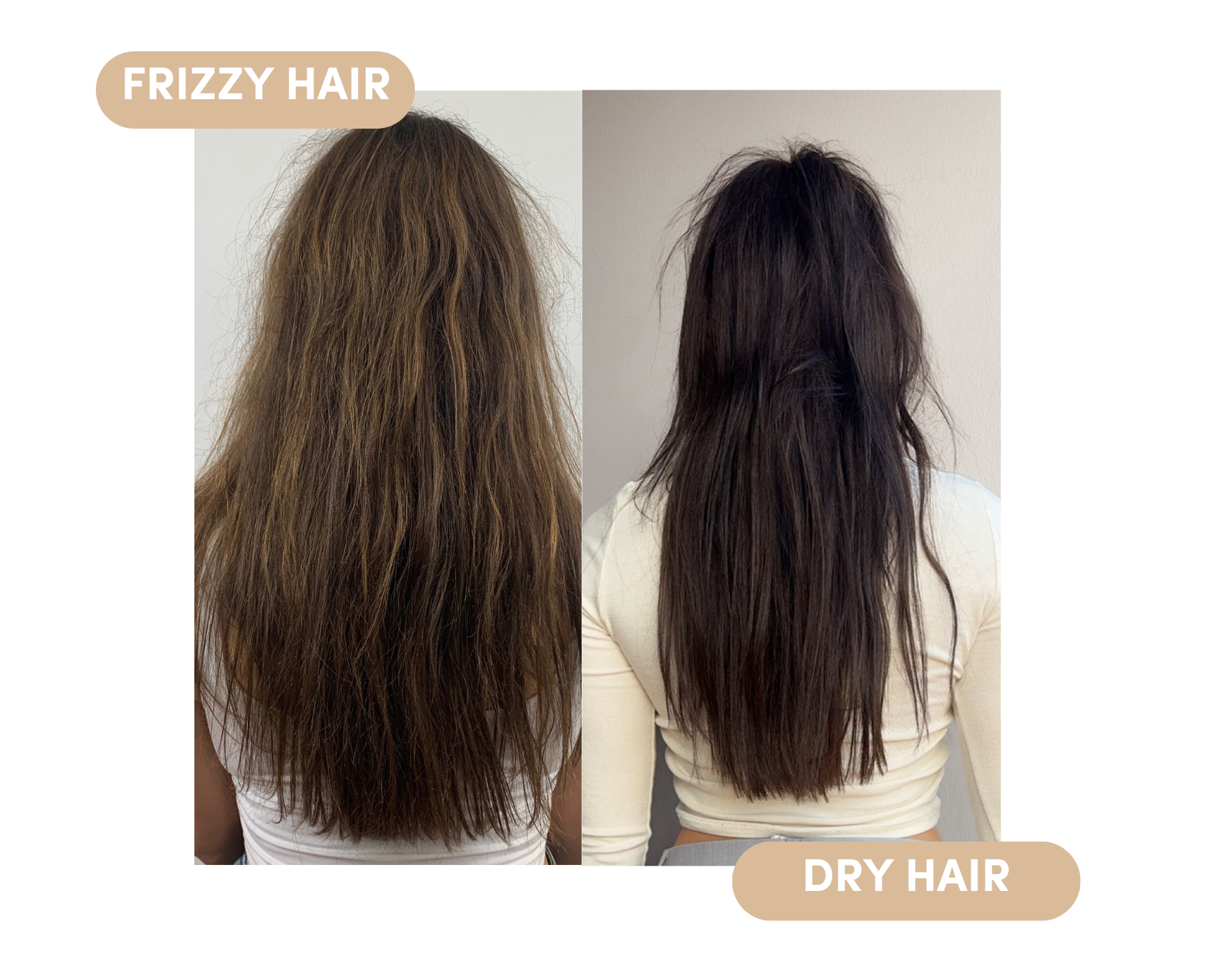 dry vs frizzy hair