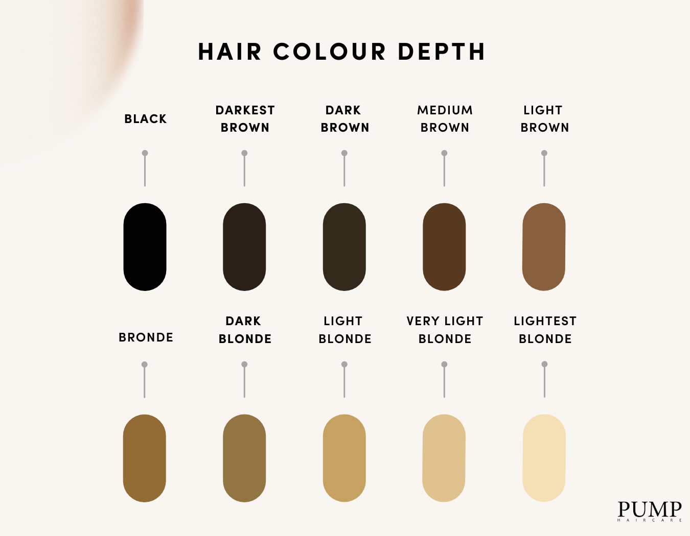 Hair colour depth chart