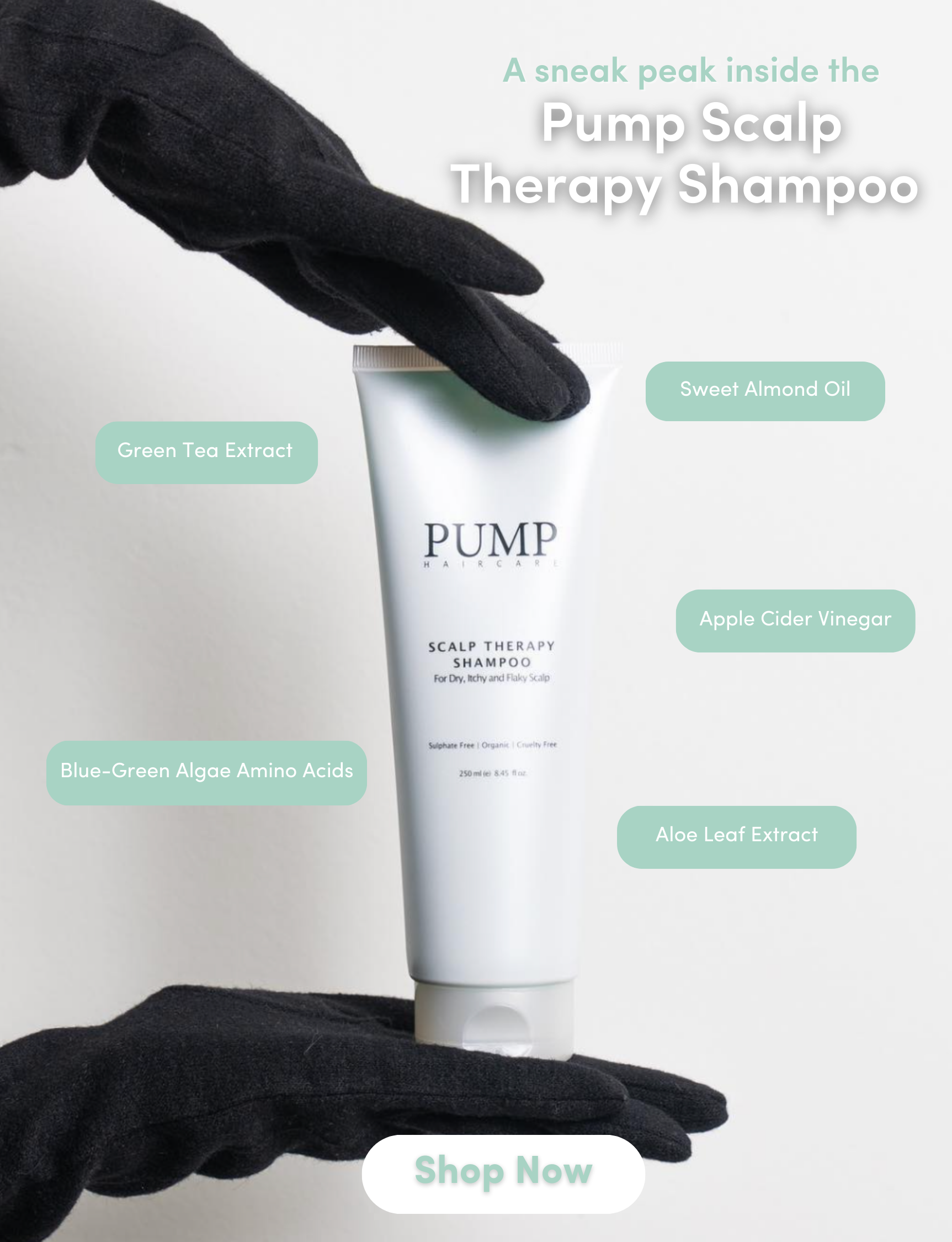 scalp therapy shampoo benefits