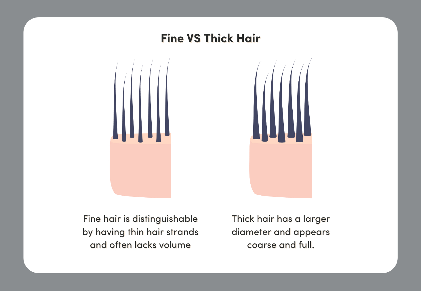 fine hair vs thin hair