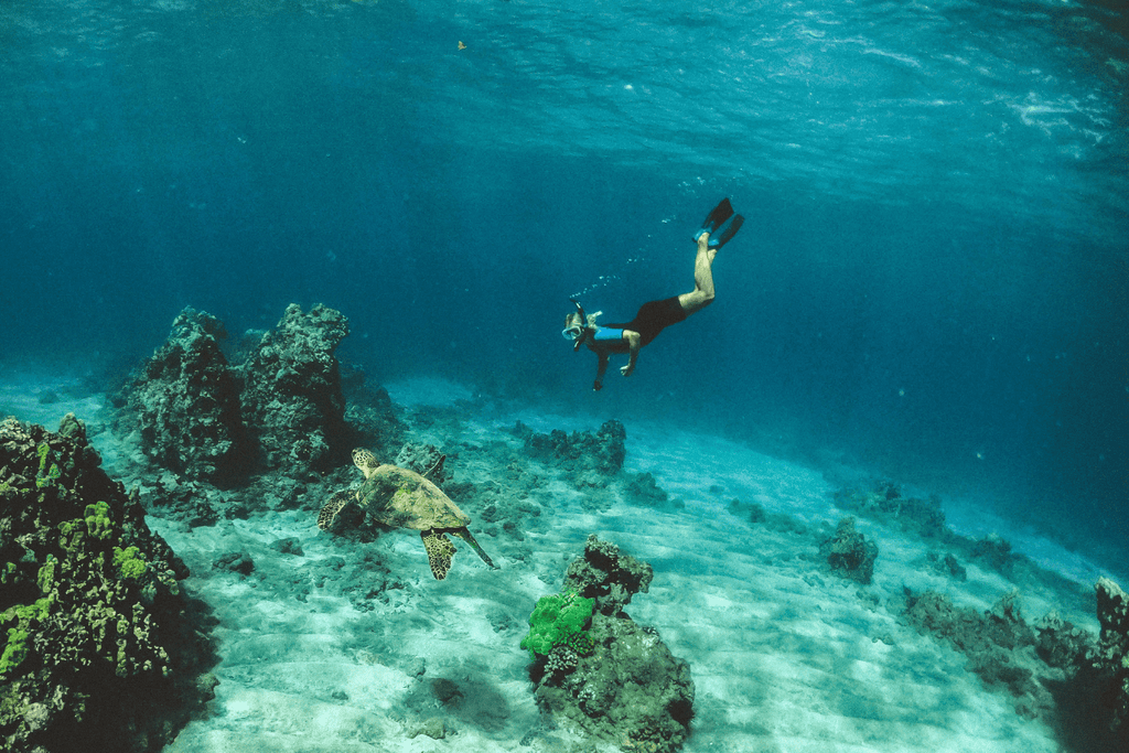 Freediver, diving with a sea turtle. 