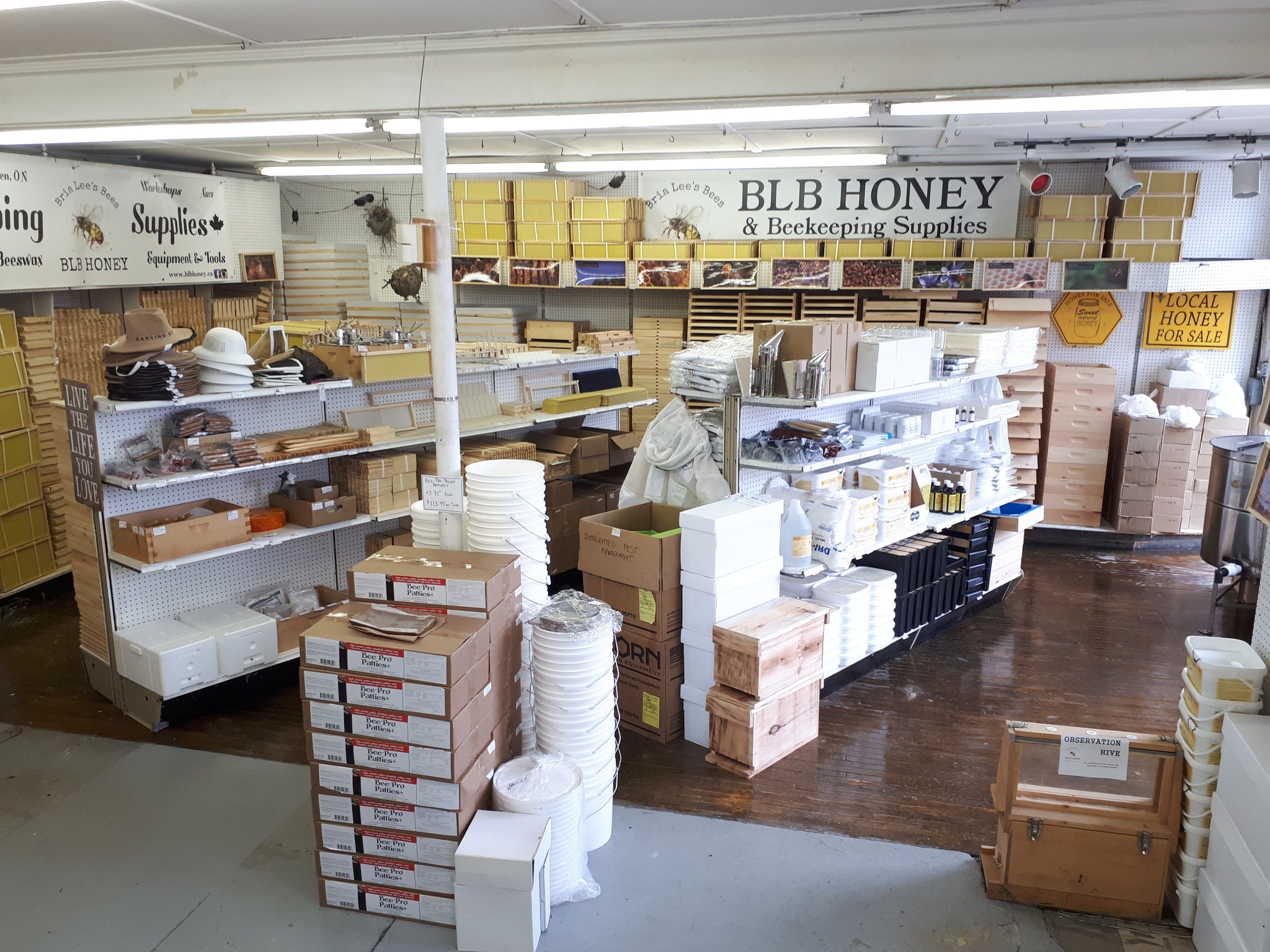 honey bee supplies