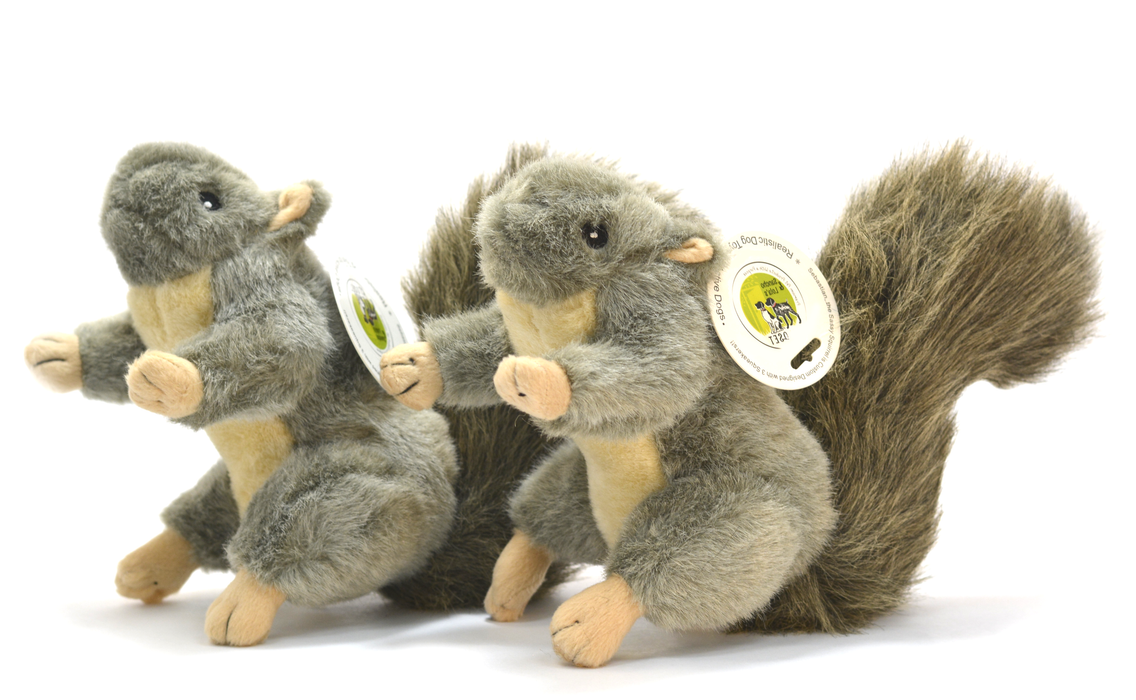 plush squirrel dog toy