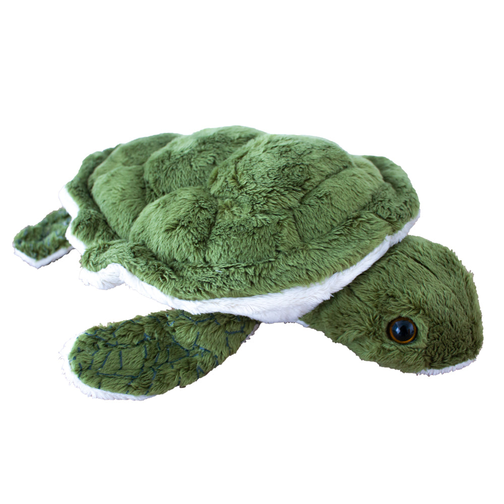 plush turtles