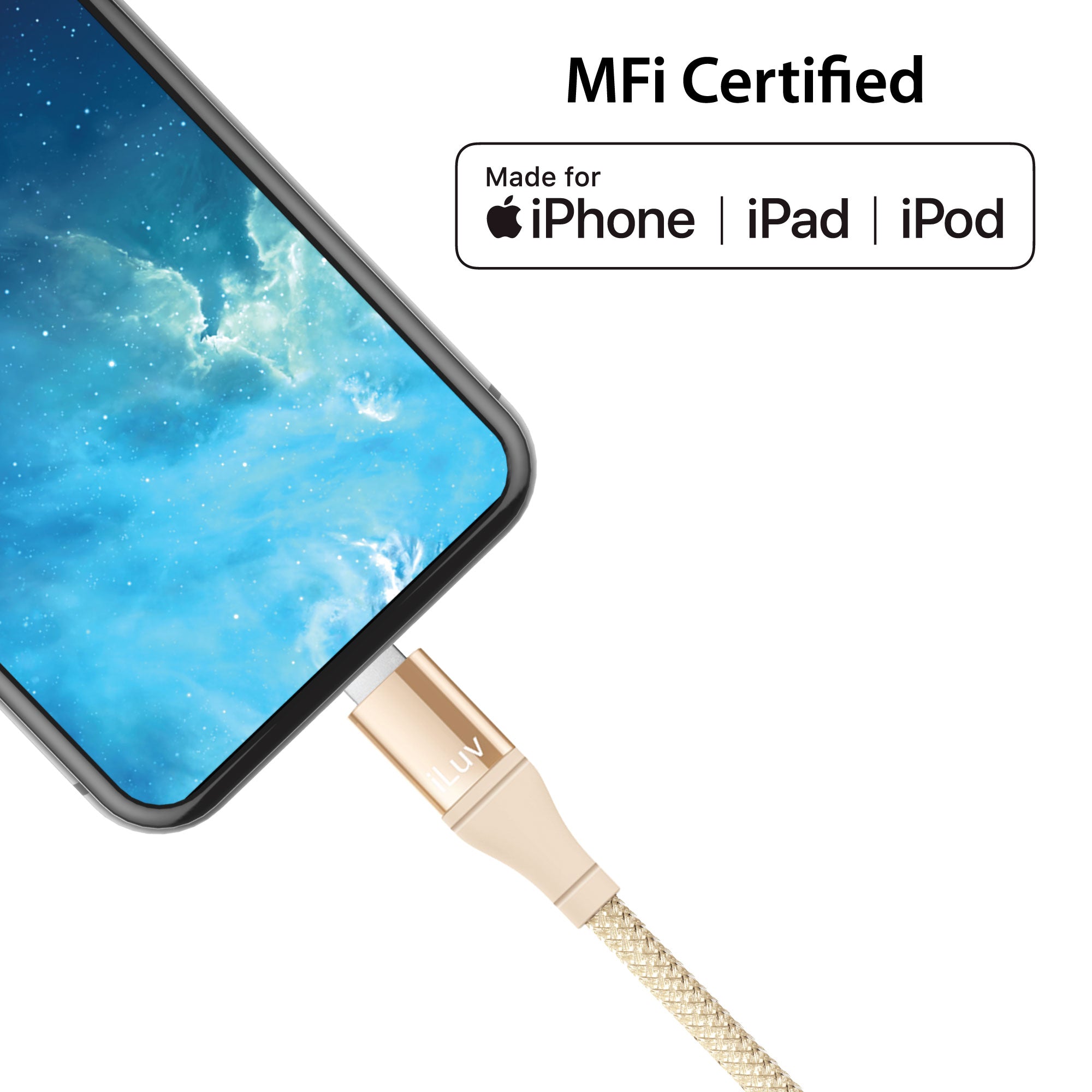 Fast Charging USB-C to Lightning Cable 3ft/6ft/10ft – iLuv Creative  Technology