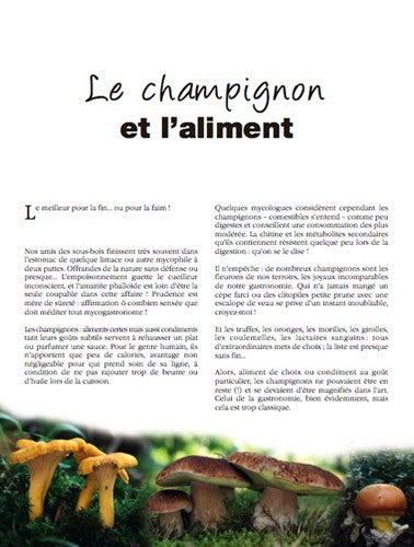 Champignons L Art Et La Matiere Chapeau L Artiste Acheve D Imprimer