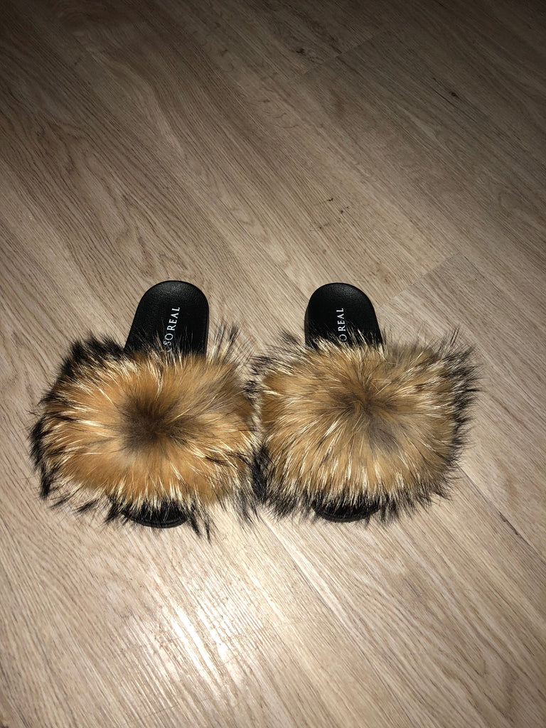 racoon slippers