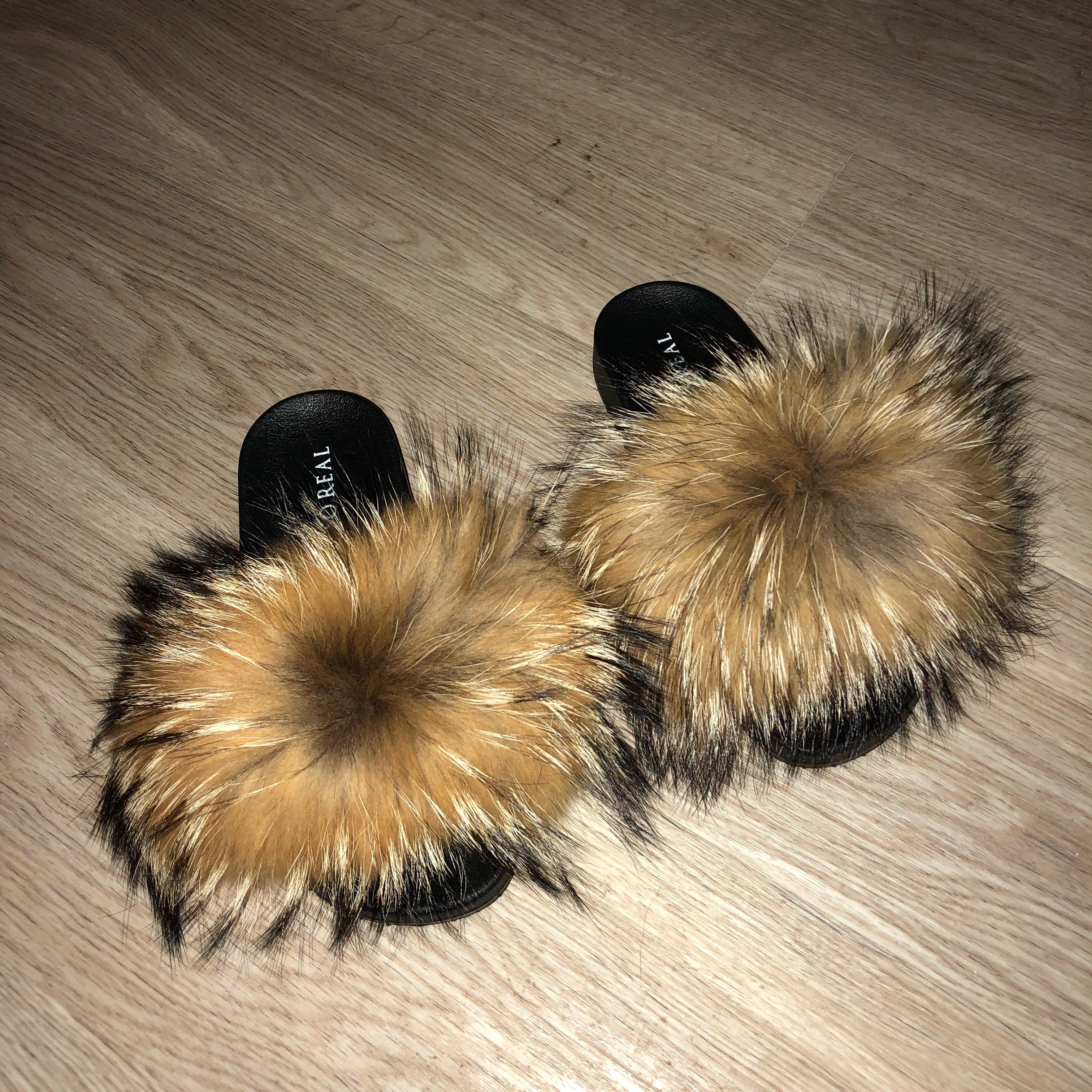 raccoon shoes