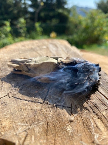 lit smudge stick on wood in garden 