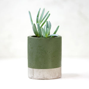 Concrete and Green Plant pot - Concrete planter - Cactus Planter - Succulent Planter  - Plant pots - Green Plant Pot