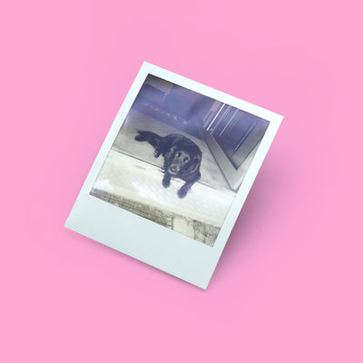 Polaroid Photo Album – Safelight Berlin