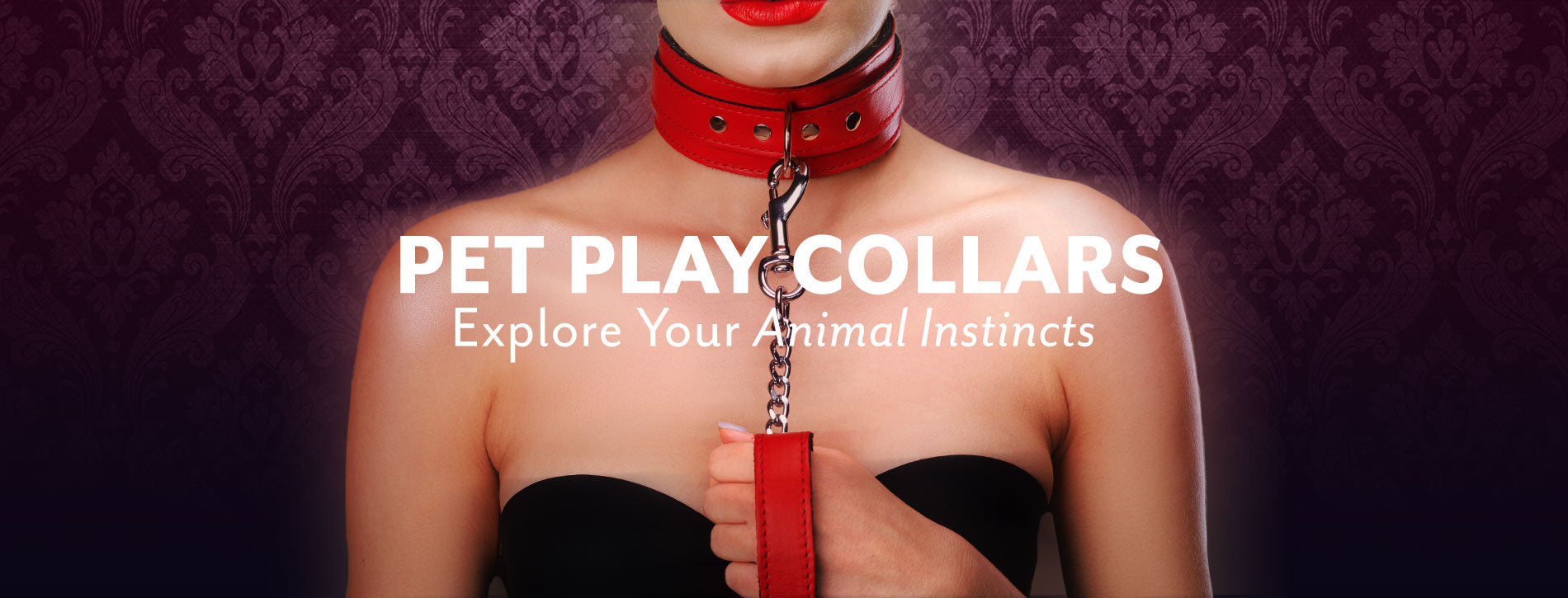 Erotic Pet Play Collars