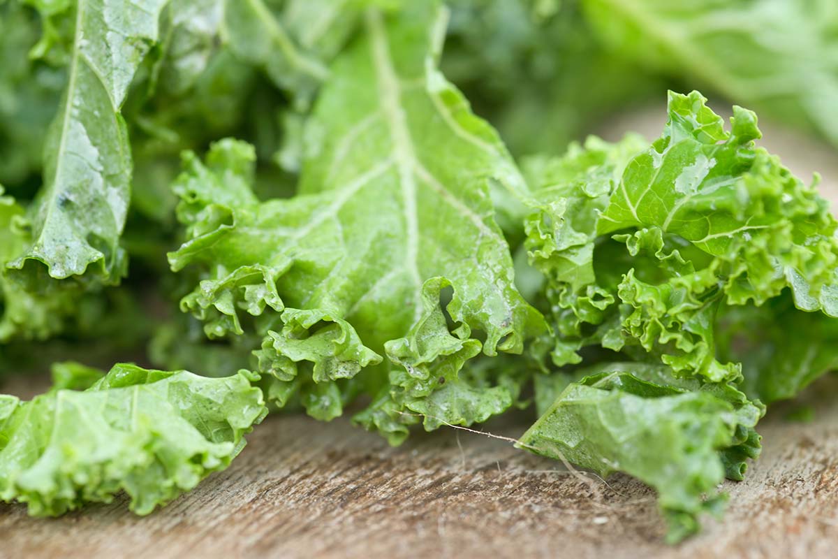 kale – is it rightfully called a”supergreen”