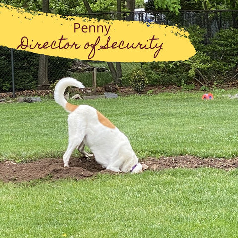 Penny - Director of Security