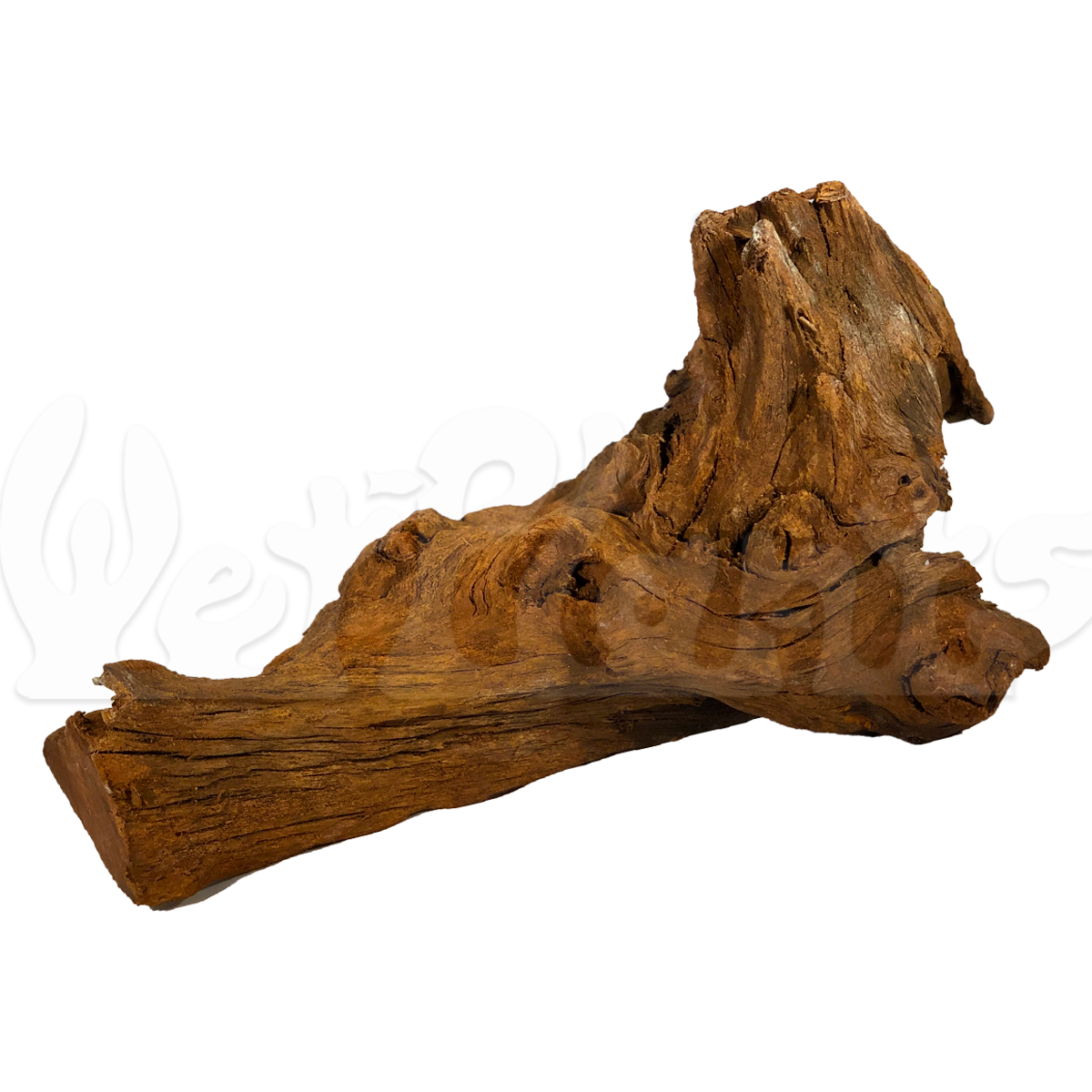 Malaysian Driftwood for Sale