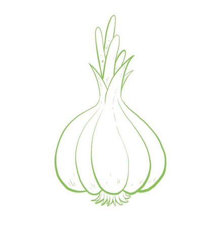 Garlic, Produce