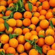 Essence:  Natural Orange Flavor - 1 Gallon