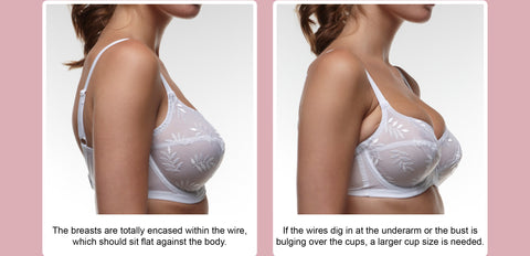 Bust the Bra Myths: Understanding Different Cup Sizes