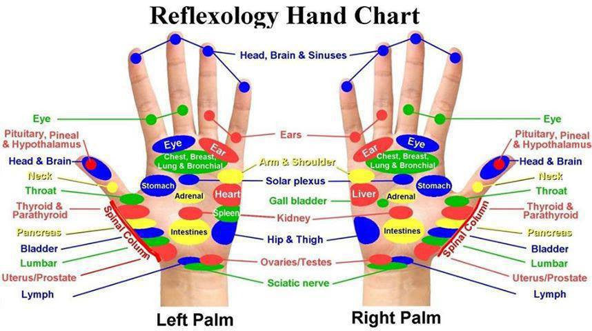 Reflexology Hand Chart