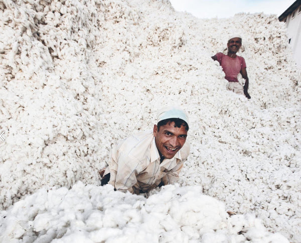 neutral cotton farmers