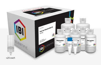 Midi Fast Ion Plasmid Kit