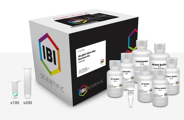 gBAC Mini Genomic DNA Kit | DNA Extraction | IBI Scientific