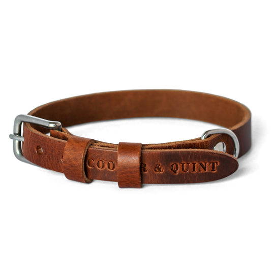 Relatieve grootte Sta op een experiment doen Leren Halsband Hond – Page 2 – Cooper & Quint