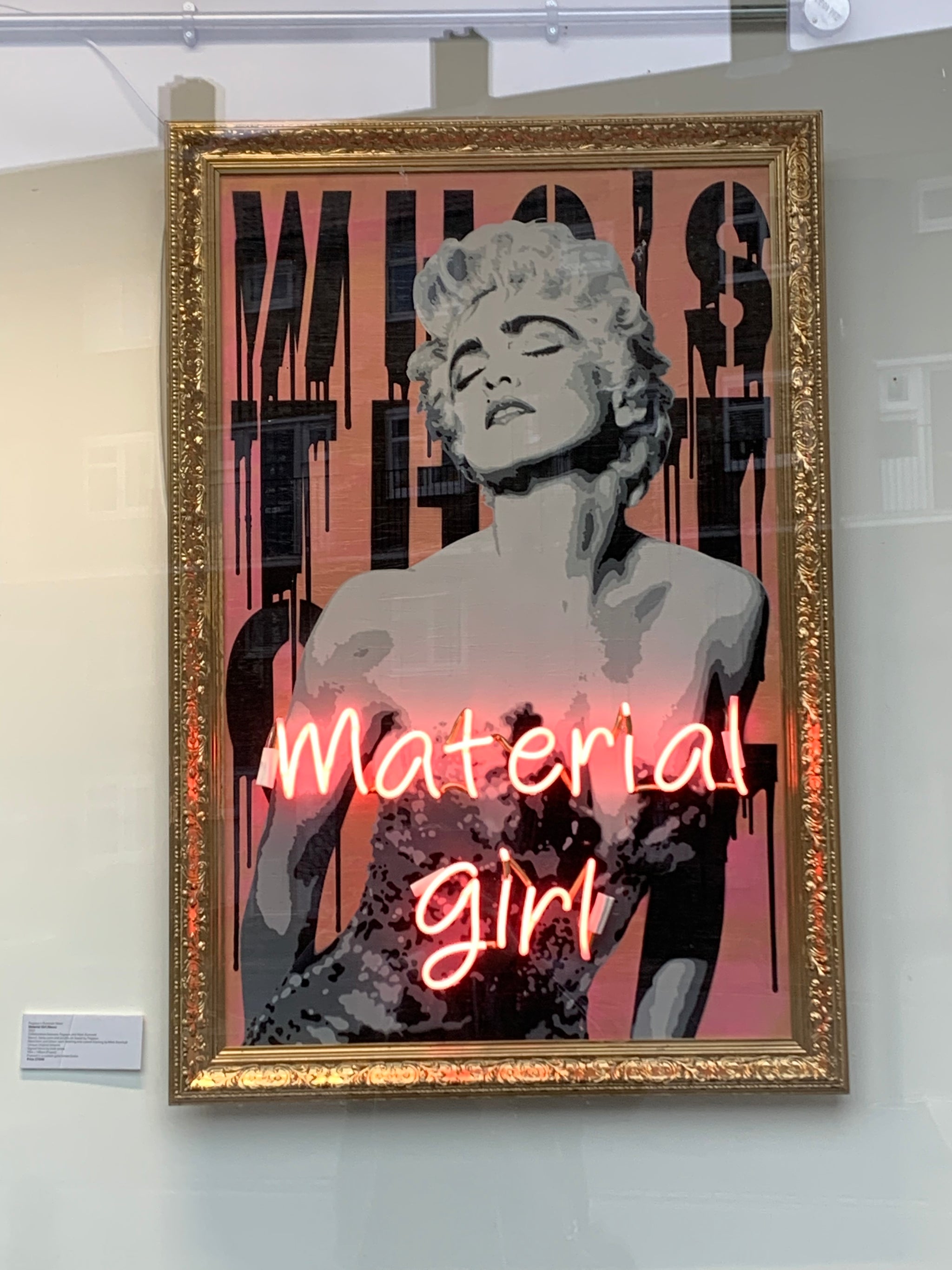 Pegasus X Illuminati Neon Madonna Material Girl Pink The Art Hound Gallery