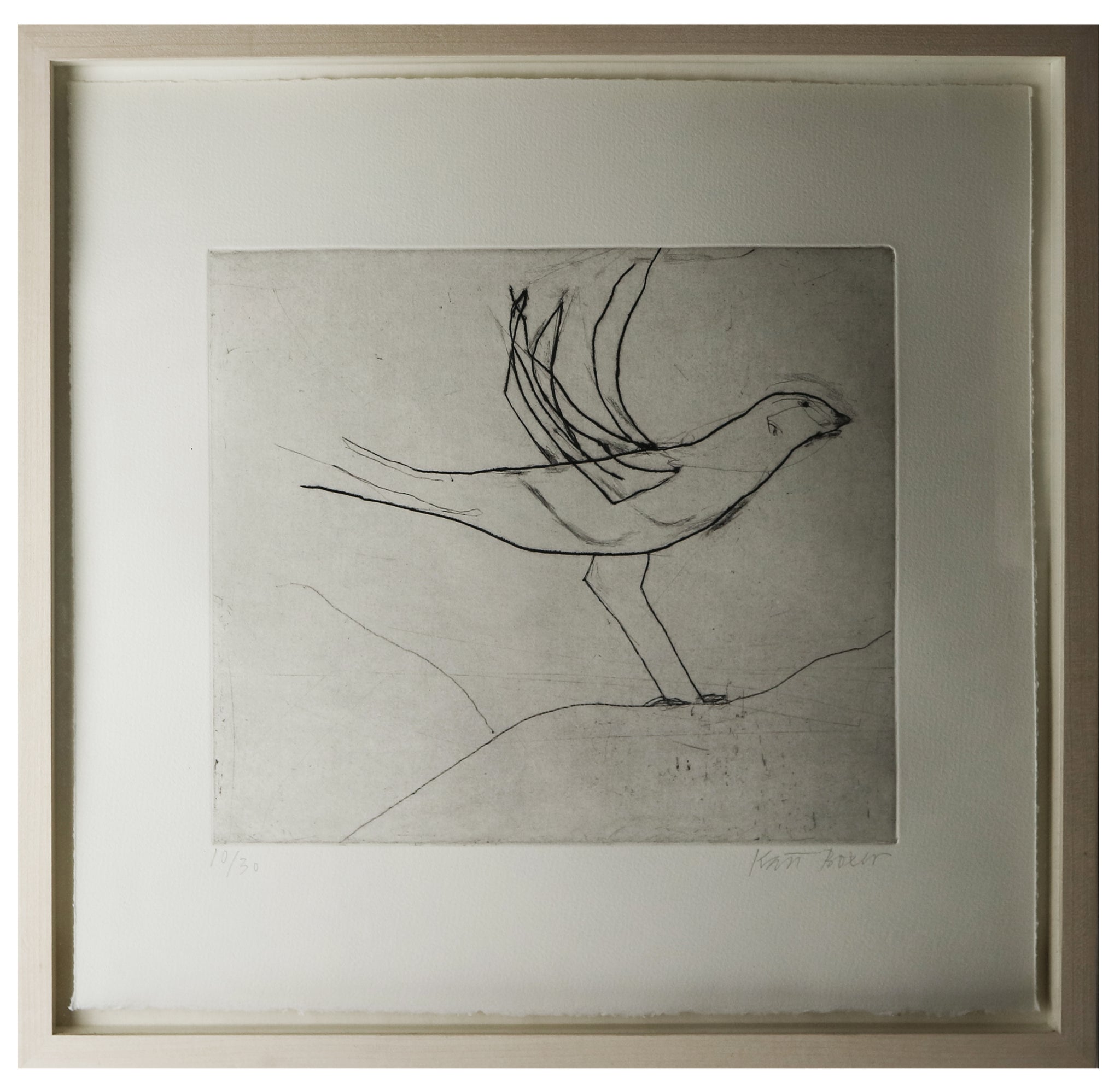 Boxer - Bird (Framed) - The Art Gallery