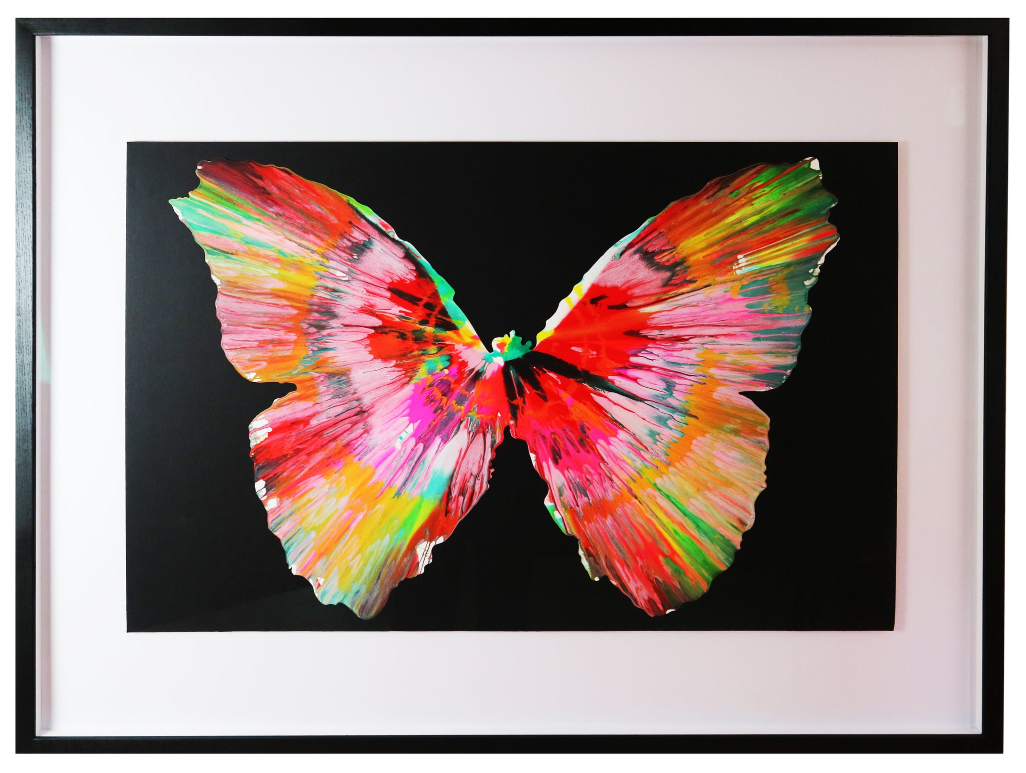 Damien Hirst Butterfly Spin Painting For Sale The Art Hound Gallery