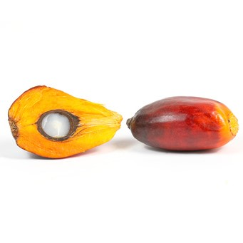 Palm Kernel Oil, Certified Organic - Sample