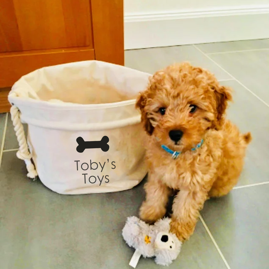 puppy toy basket