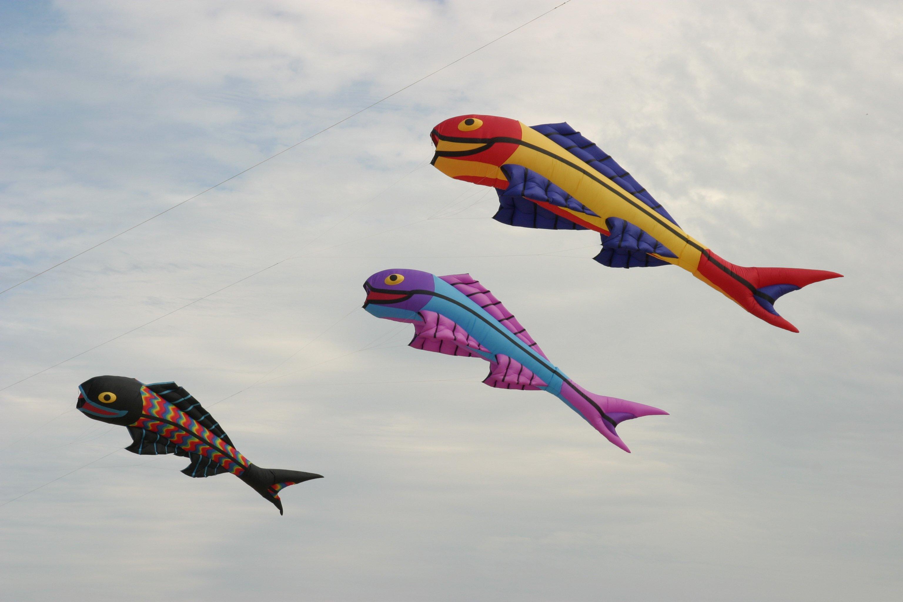 30ft Emerald Cobra Kite – Kitty Hawk Kites Online Store