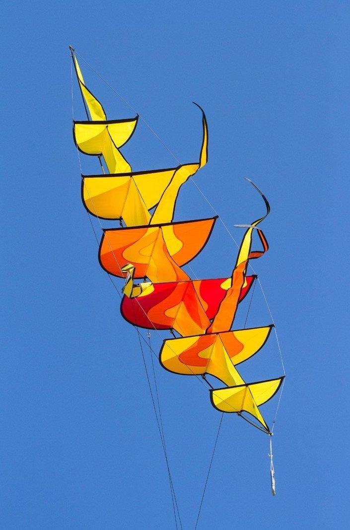 Specialty Kites – Kitty Hawk Kites Online Store
