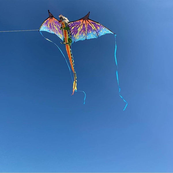 small dragon kite