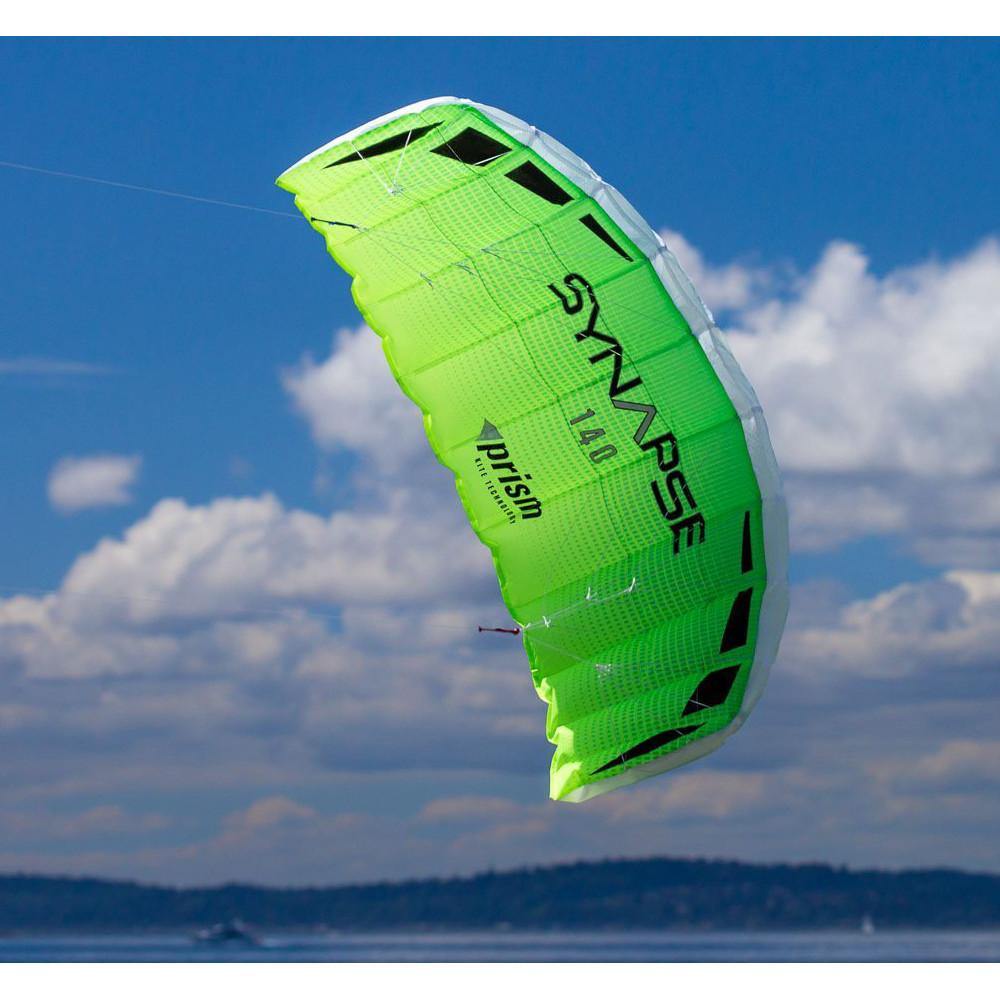 dual line stunt kite