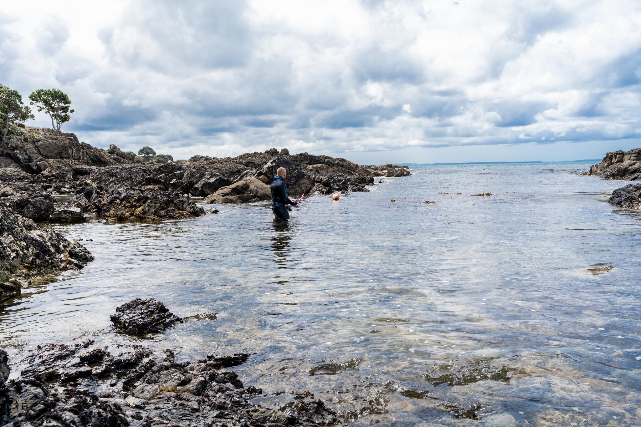 free diving new zealand