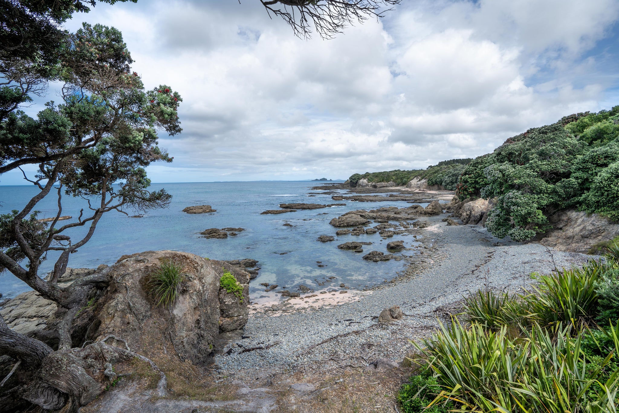 Remote beach new zealand