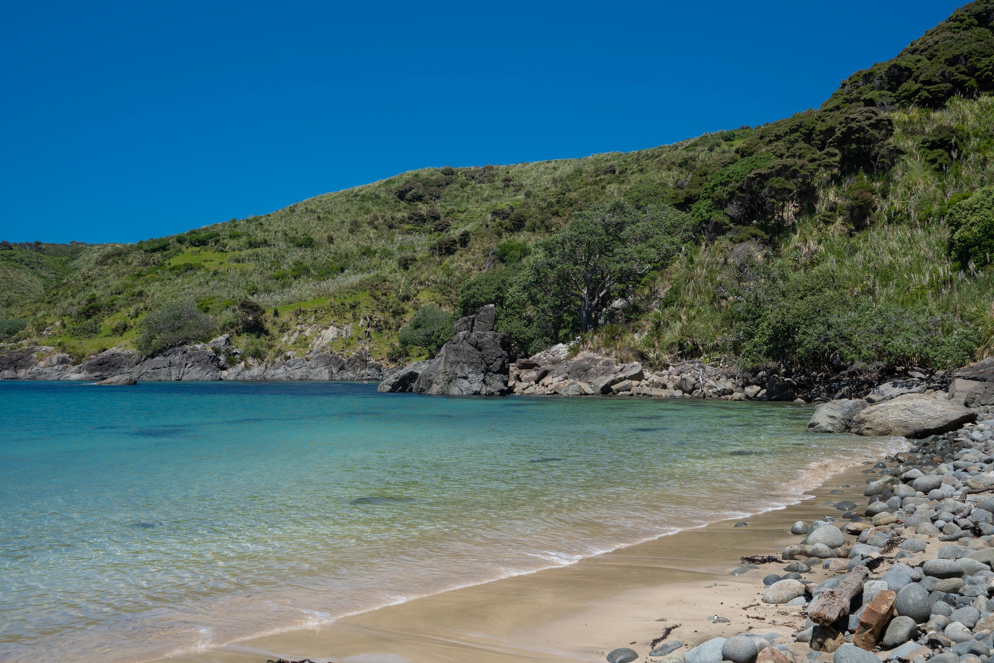 Remote beach new zealand