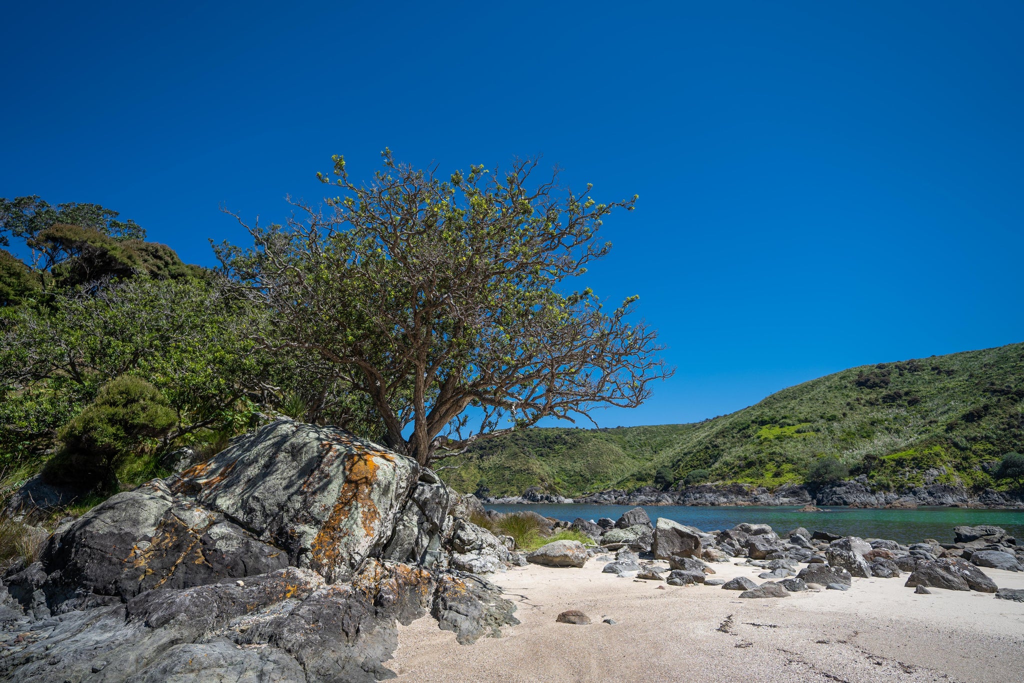 Remote beach new zealand