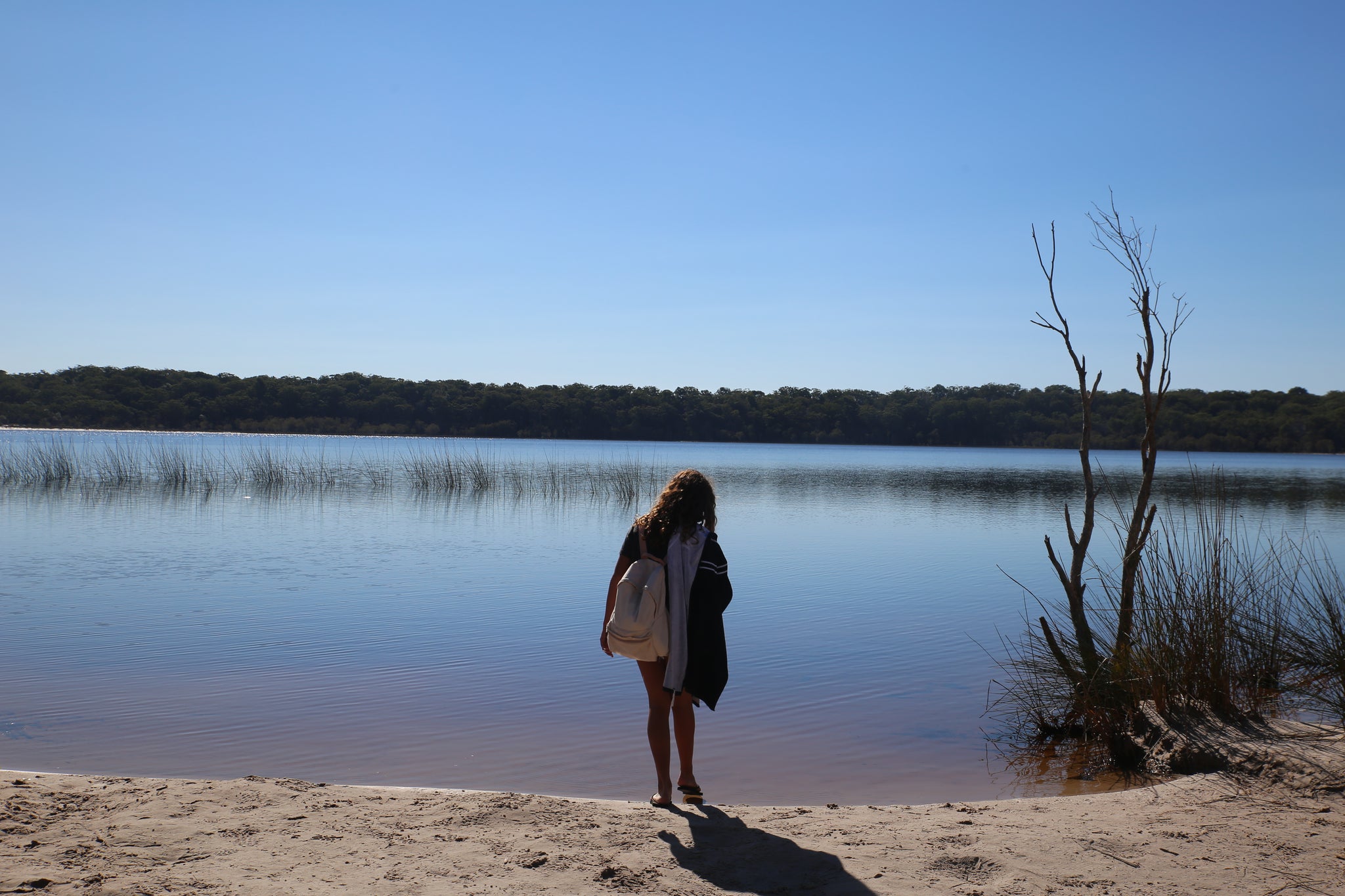 lake boomanjin, fraser island