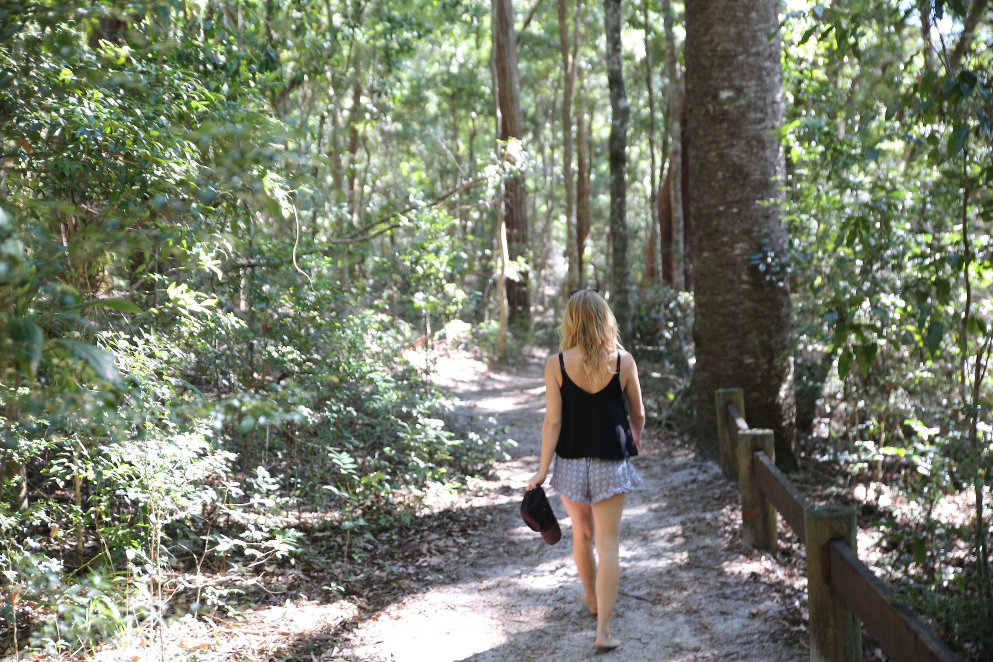 Lake Allom walking track fraser island