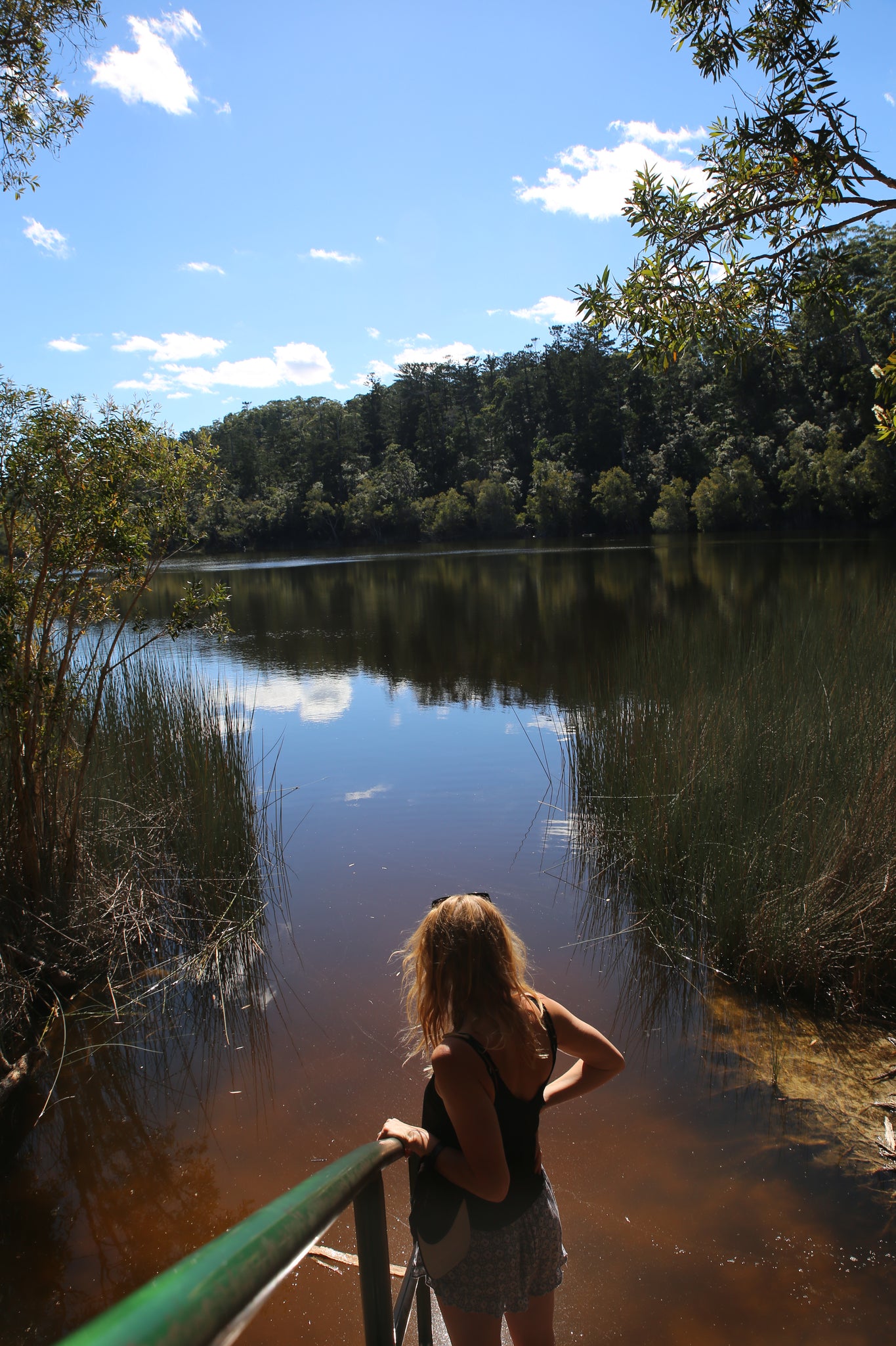 Lake Allom, fraser island