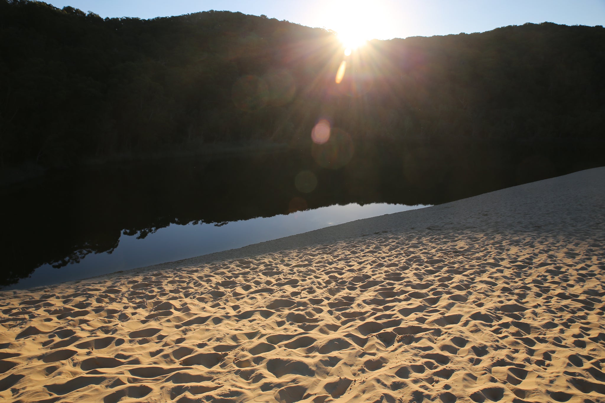 Wabby Creek, fraser island, australia