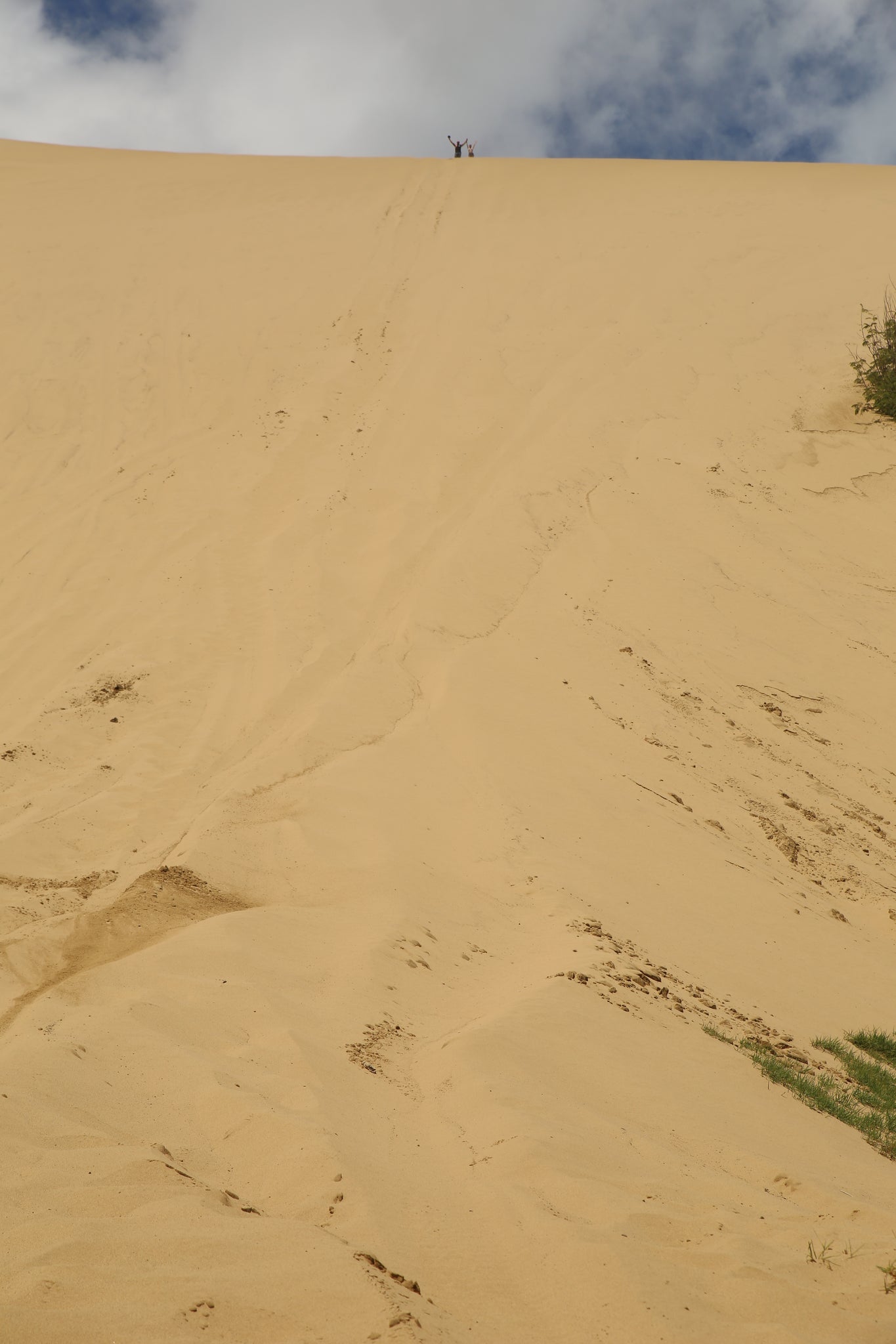 Sand Dunes 90 mile