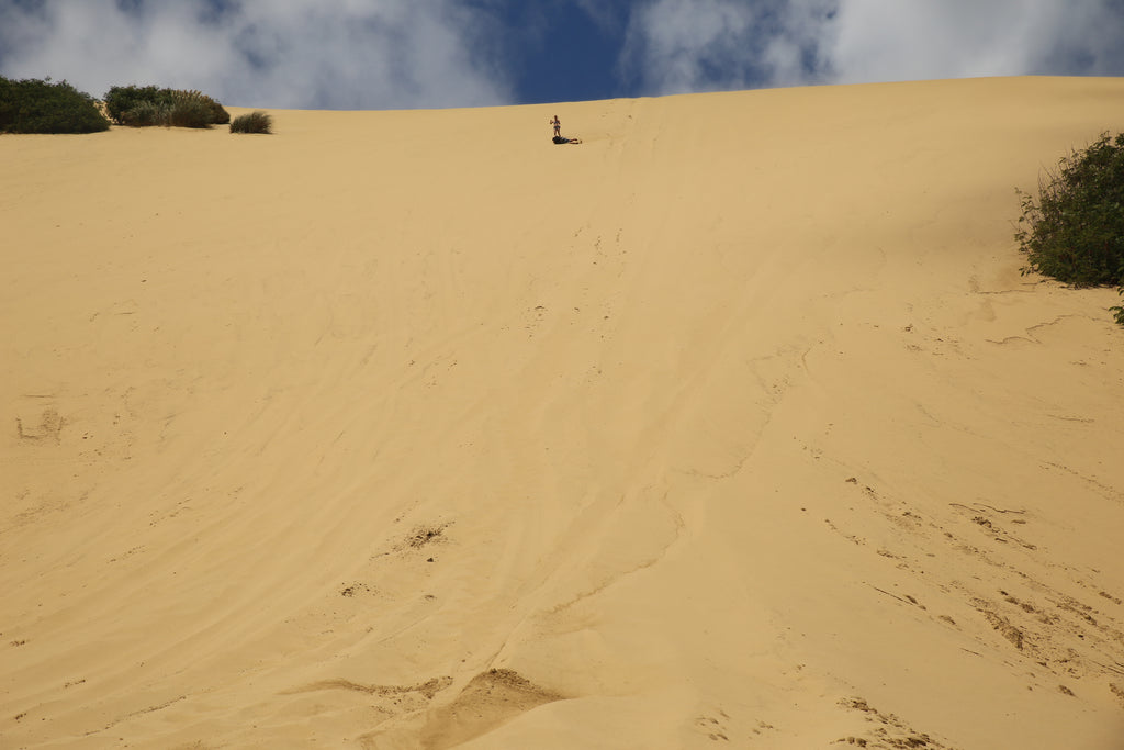 North Island Sand Dunes
